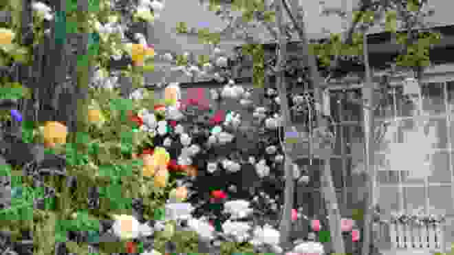 ガーデニング～薔薇の咲く庭　ＢＧＭ　ＨＡＮＡＺＯＮＯ