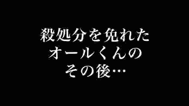 殺処分を免れたオールくんのその後…