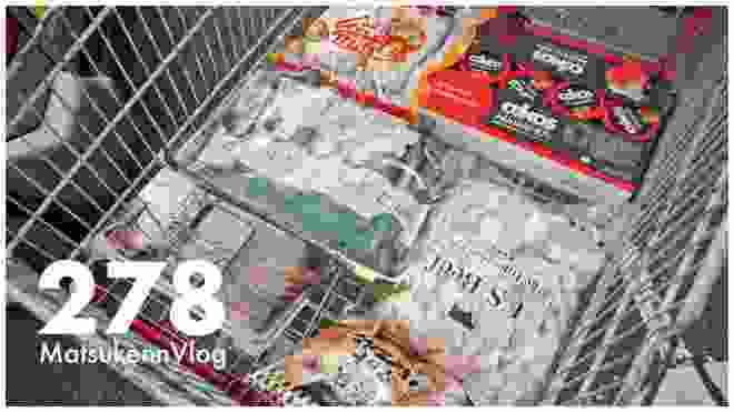 【コストコ】今週の購入品(8点)をまるっと紹介54｜クーポン商品&まってた新商品など【VLOG#278】