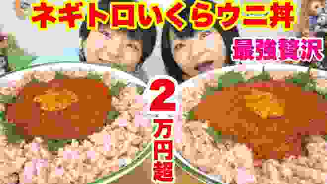 【大食い】コストコのいくらとネギトロを４kg使った海鮮丼！贅沢丼！大好き丼！ご飯がすすむ。【コストコ】【双子】