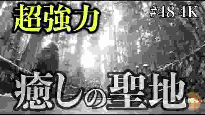 【世界遺産 高野山】宇宙と繋がる 究極癒しの聖地 パワースポットひとり旅#48 4K