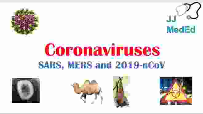 Introduction to Coronaviruses (SARS, MERS, 2019-nCoV): Hosts, Symptoms, History of SARS and MERS