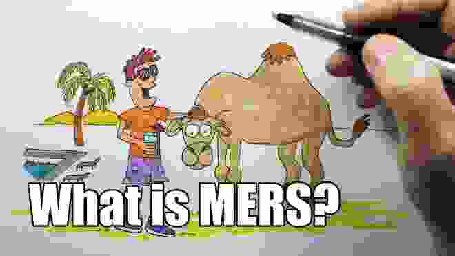 What is MERS?