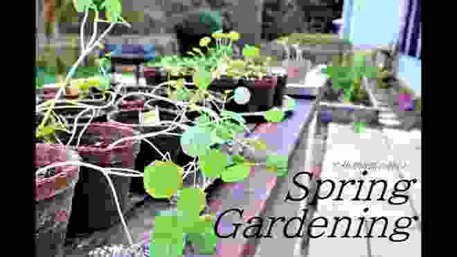 2020年 春の庭仕事/林檎のおやつ/アメリカ南部の暮らし/Spring Gardening/暮らしVlog/ガーデニング