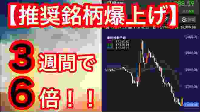 【推奨銘柄爆上げ】3週間で6倍！相場大荒れでも稼げる株投資！