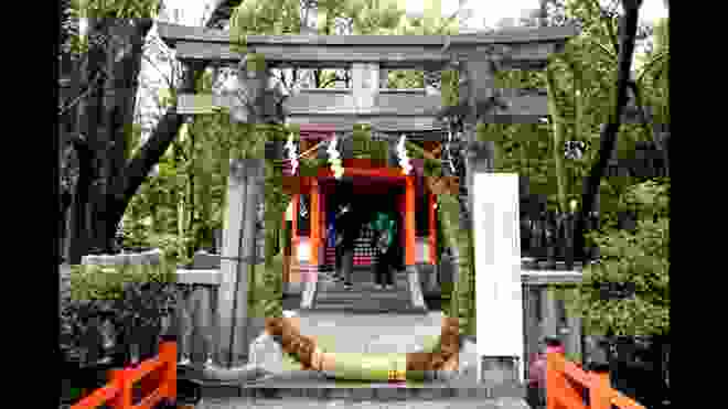 コロナウイルス退散祈願で茅の輪くぐり　京都・八坂神社