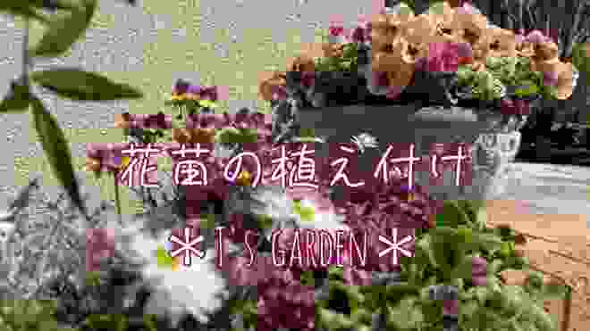 《花苗の植え付け》ガーデニング＊花いっぱいの庭づくり《T's Garden》