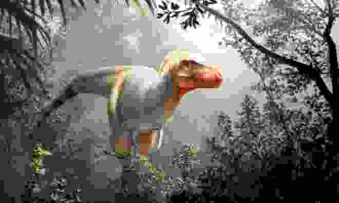 【画像あり】ティラノサウルスの最新の想像図ｗｗｗｗｗｗｗｗ
