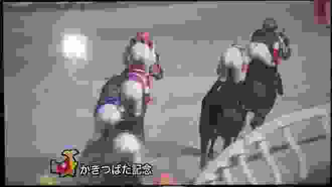 【名古屋競馬】第22回 かきつばた記念 JpnⅢ 2020/05/04【ダートグレード競走】