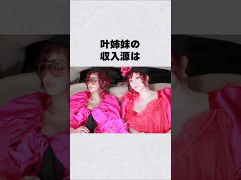 叶姉妹の気になる収入源#芸能人 #芸能界 #芸能 #shorts