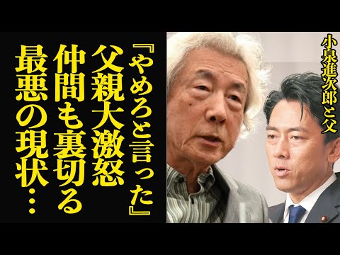 小泉進次郎の総理出馬に父・小泉純一郎が大激怒…党内でも離反者相次ぐ現状に追い詰められた真相に言葉を失う！！一時当確と言われていた進次郎が急下落、父親が否定した理由が…【芸能・政治】